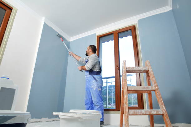 Best Black Mold Removal  in Oswego, NY