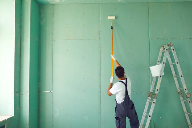 Best Black Mold Removal  in Oswego, NY