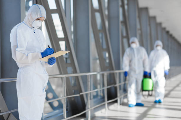 Professional Mold Removal in Oswego, NY