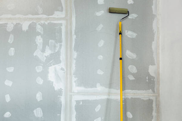 Best Mold Odor Removal Services  in Oswego, NY