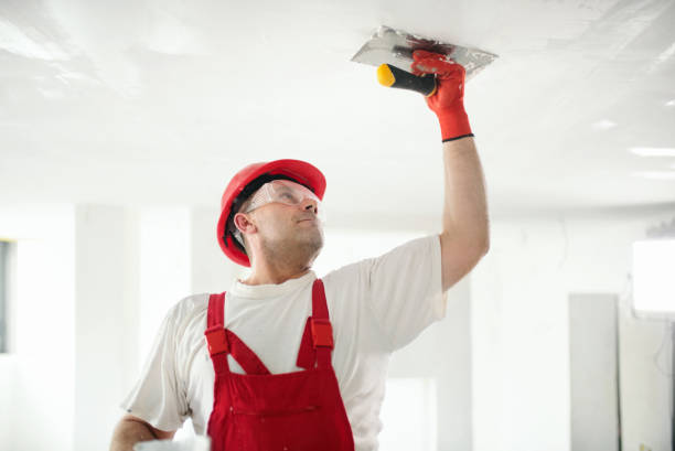 Best Mold Odor Removal Services  in Oswego, NY