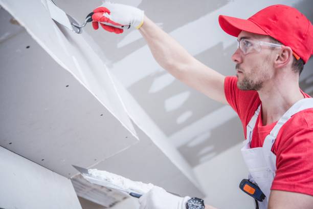 Best Crawl Space Mold Remediation  in Oswego, NY